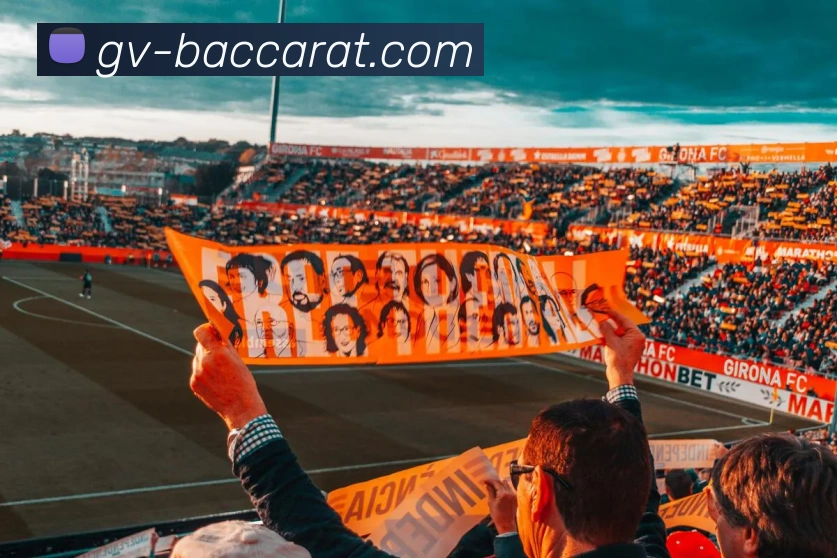 多媒体互动体验